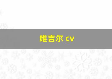 维吉尔 cv